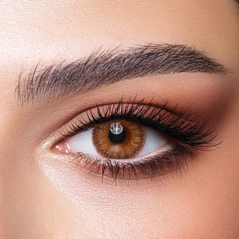 hazelnut-colored lentils