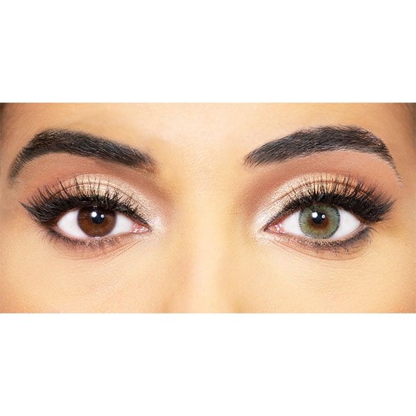 Olive Obsession Paris lentils