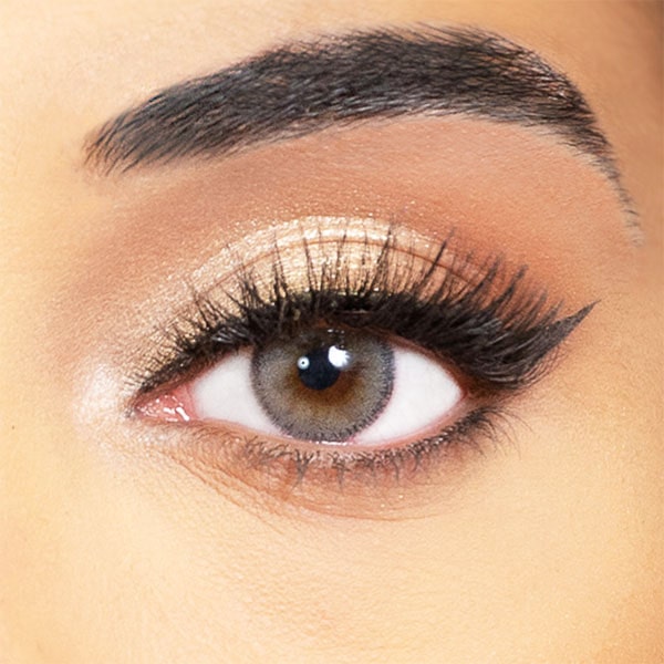 gray lenses obsession paris