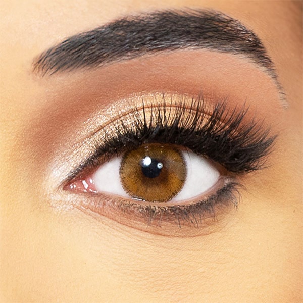 honey lentils obsession paris