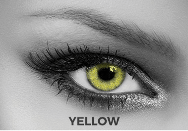 Soleko Queen's Twins Yellow Contact Lenses