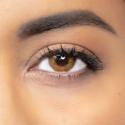 soul brown lenses 1 year fashion lenses