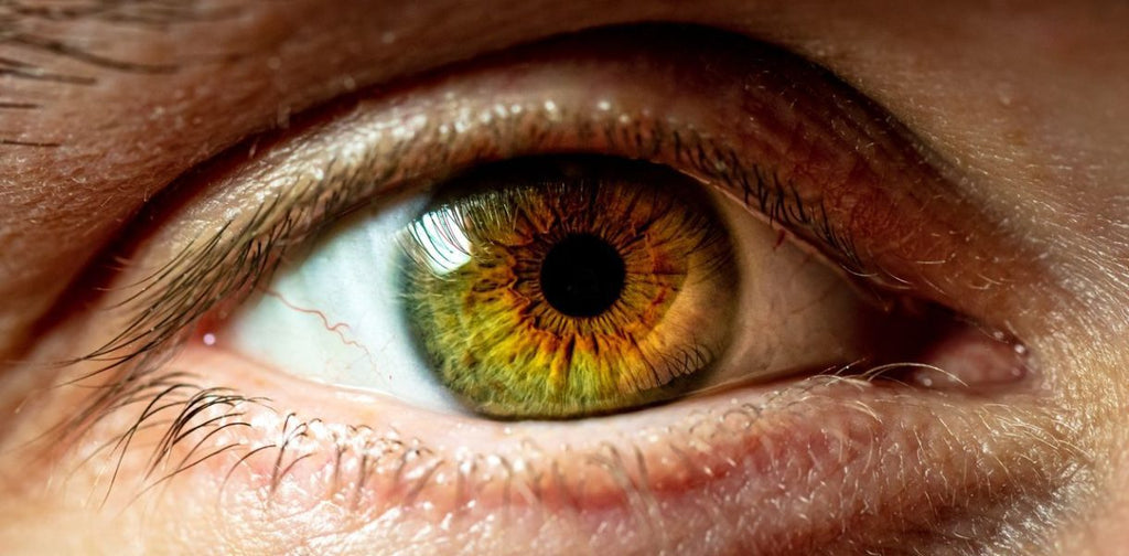 the story of our eyes