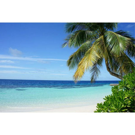 taking care of your contact lenses on vacation