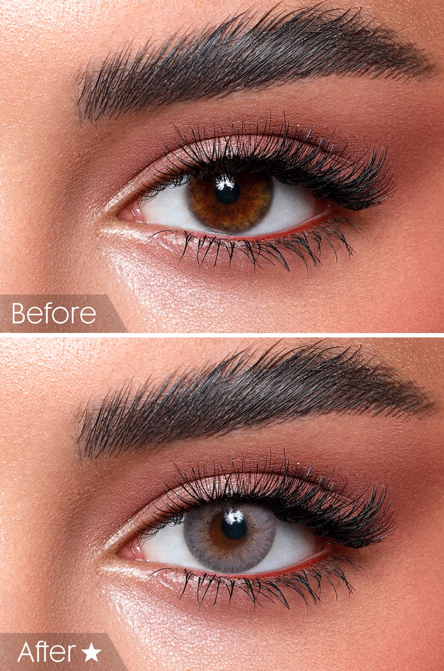 Bella gray colored lenses