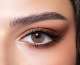 contact lenses bella