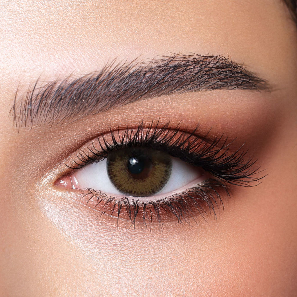 bella colored lenses