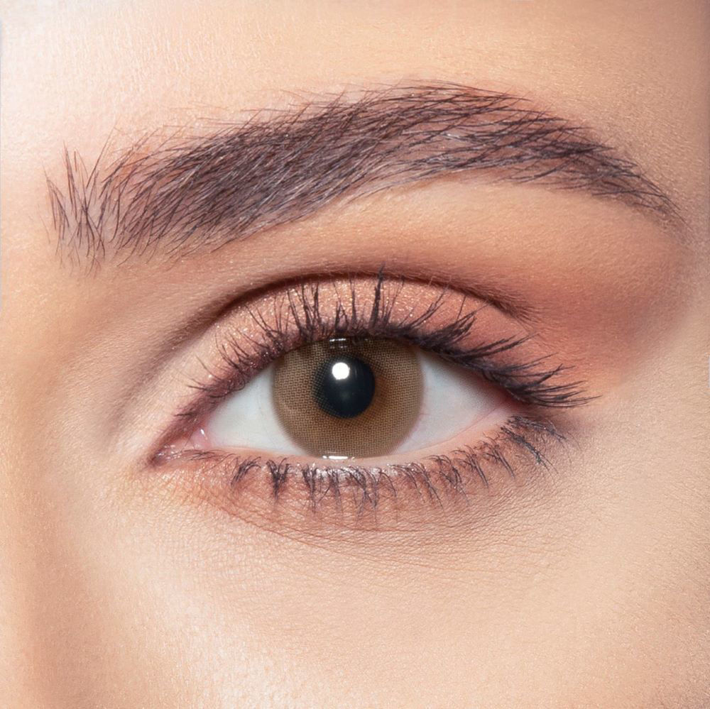 lentilles de couleur marron