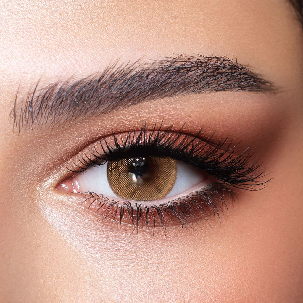 brown colored lenses