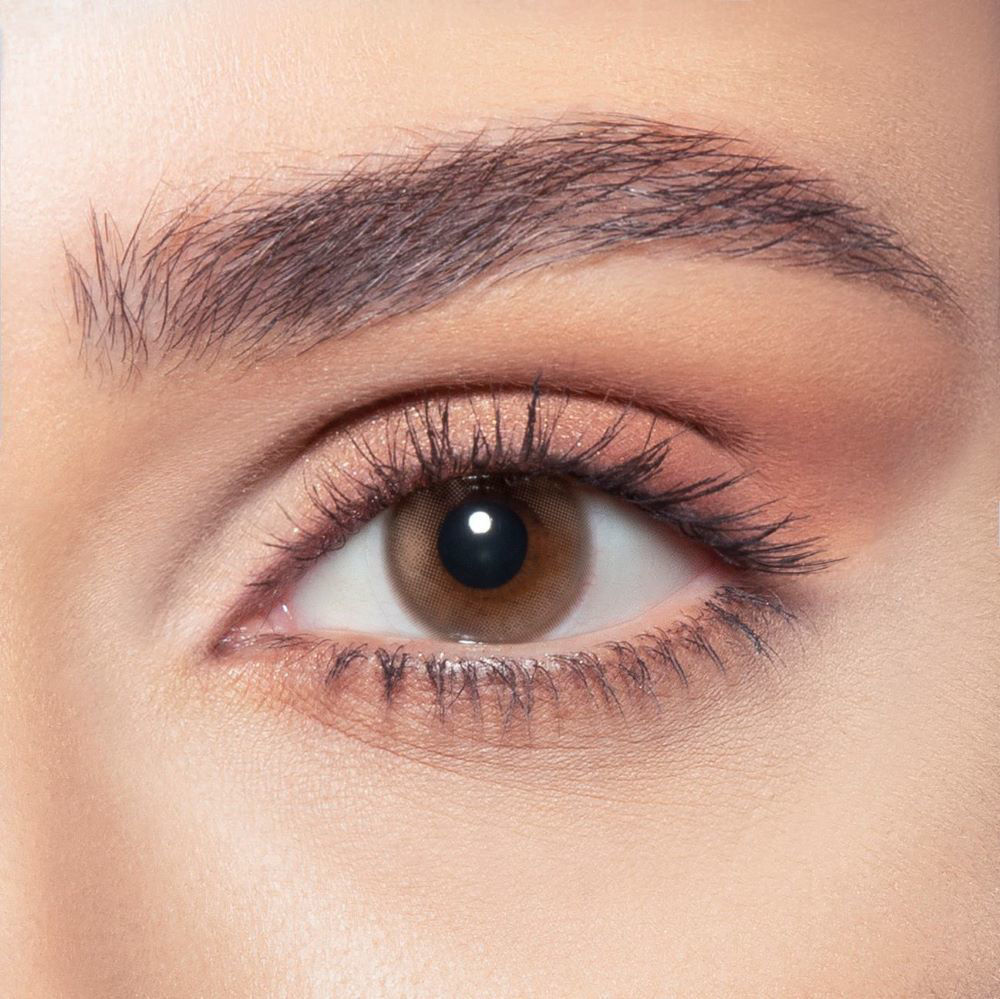 lentilles de couleur marron