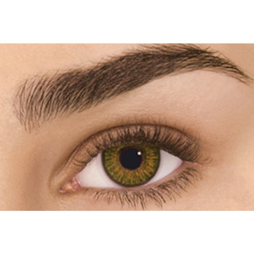 freshlook one day pure hazel lenses