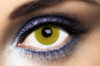 yellow Halloween lenses