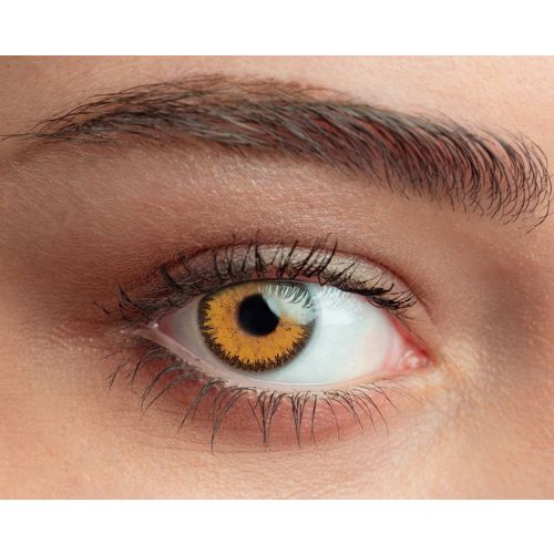 brown colored lenses