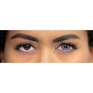 gray colored lenses