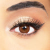 obsession paris seduction chocolate brown colored contact lenses