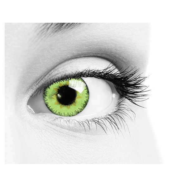 Contact Lenses Soleko One Daily Green