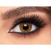 freshlook one day pure hazel colored contact lenses