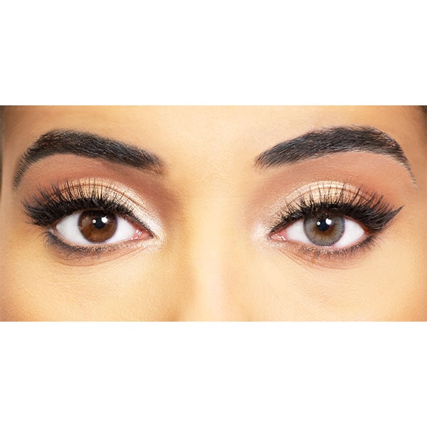 gray colored lenses obsession paris