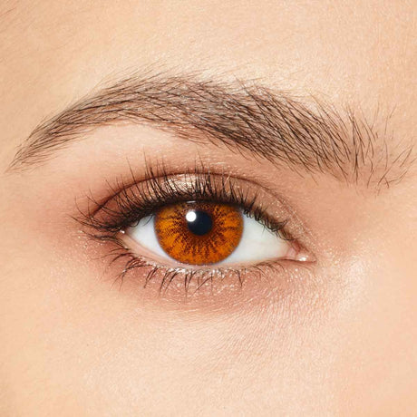 Lentilles Desio Coffee Espresso