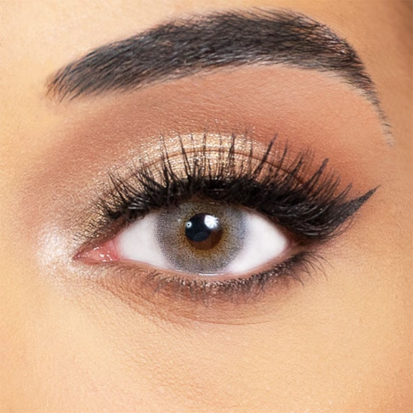 gray lenses obsession paris