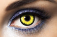 yellow Halloween lenses