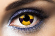 Halloween lenses