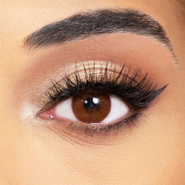 brown lentils obsession paris