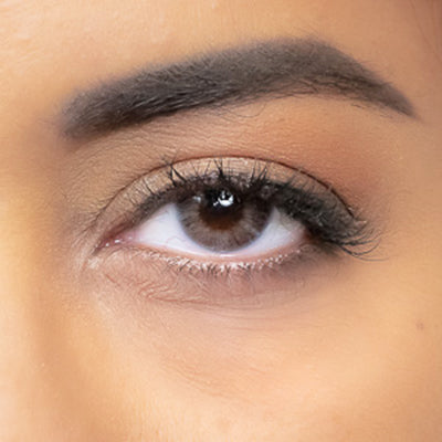 trendy gray lenses 1 year fashion lenses