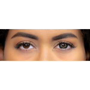 gray colored lenses