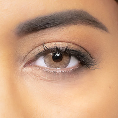 brown colored lenses