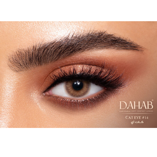 Lovely look with Gray Contact Lenses Dahab Cat Eye 6 months