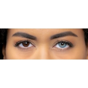 lentilles bleues