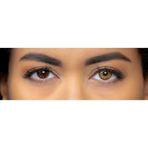 brown colored lenses